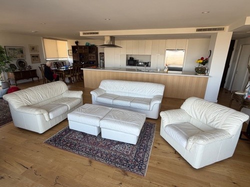 Elegant white leather - white, living